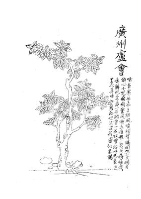 20170330_013