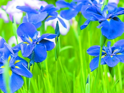 20160608_001