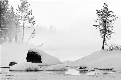 20151207_008