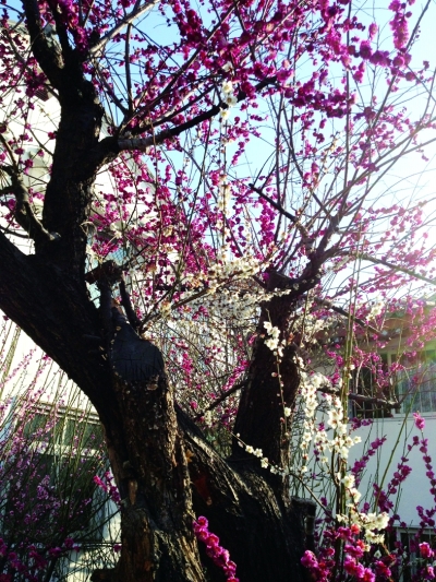 20140527_008