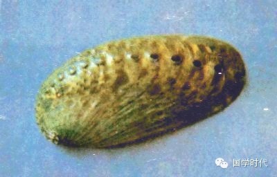 20150218_007